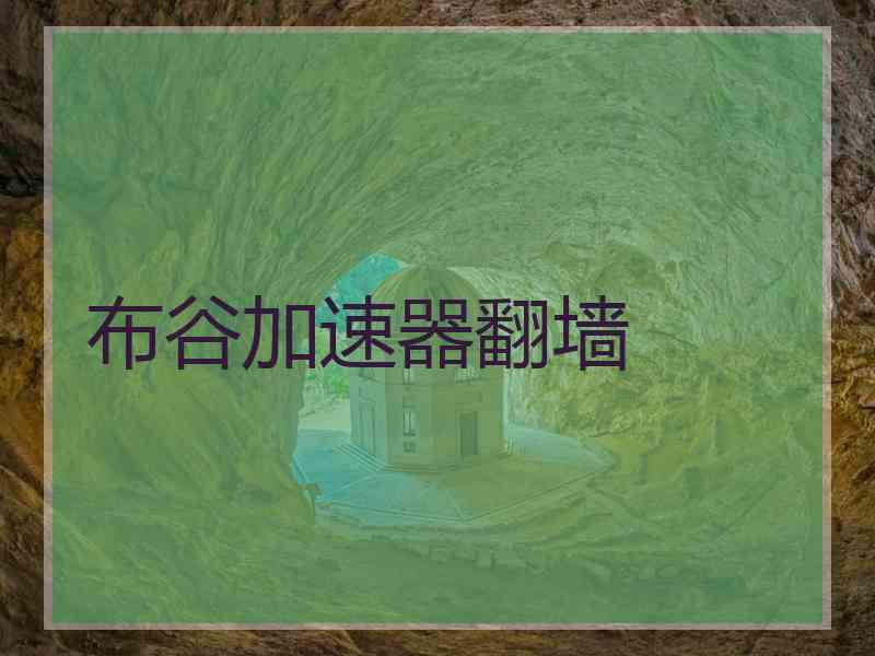 布谷加速器翻墙