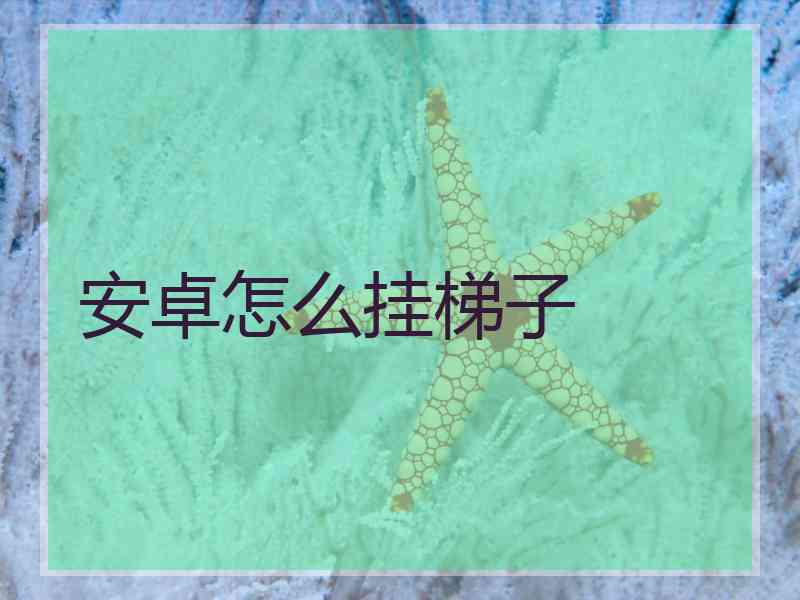 安卓怎么挂梯子