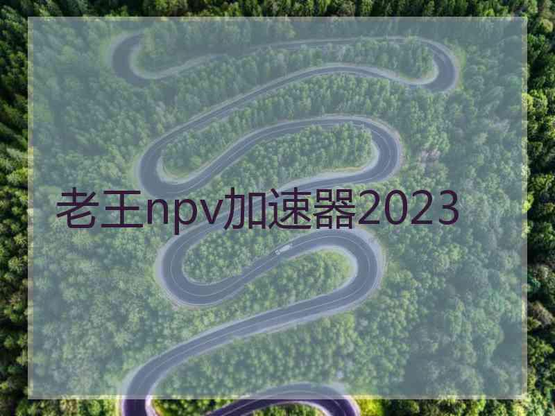 老王npv加速器2023