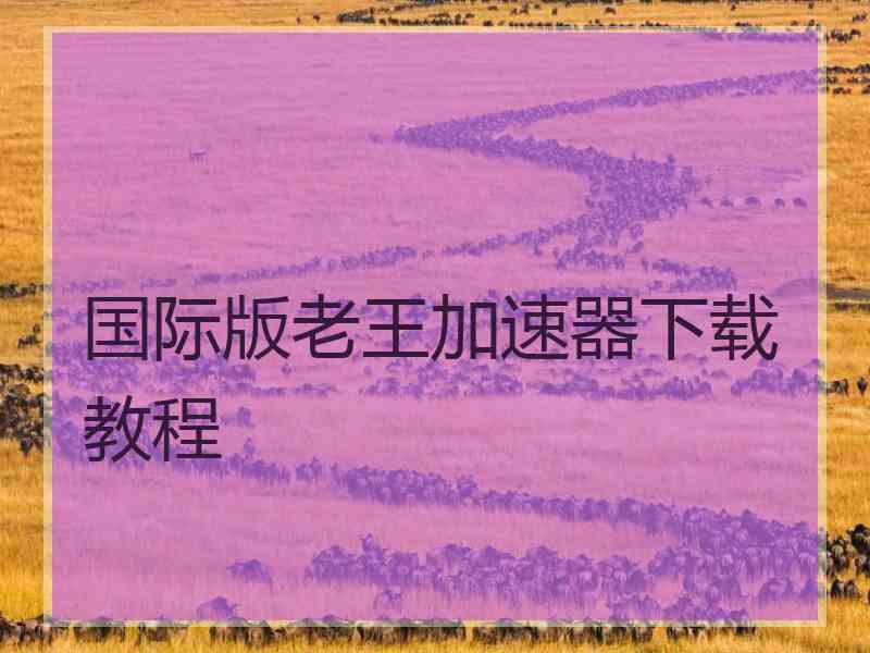 国际版老王加速器下载教程