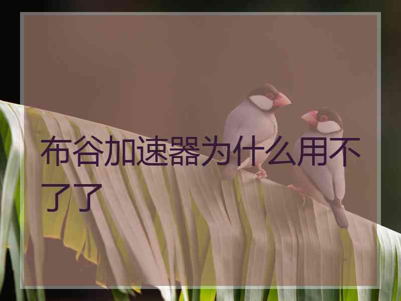 布谷加速器为什么用不了了