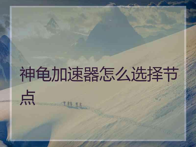 神龟加速器怎么选择节点
