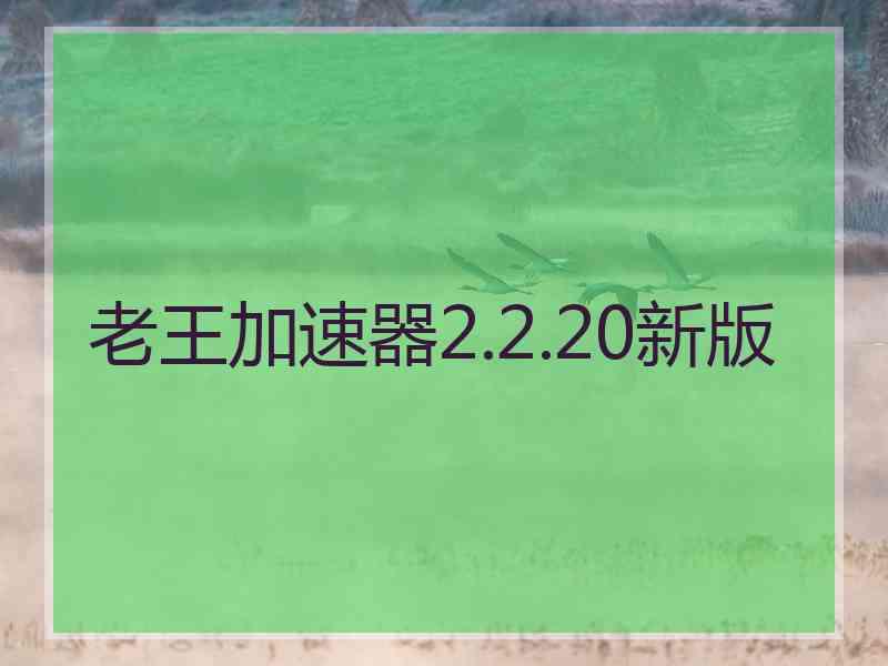老王加速器2.2.20新版
