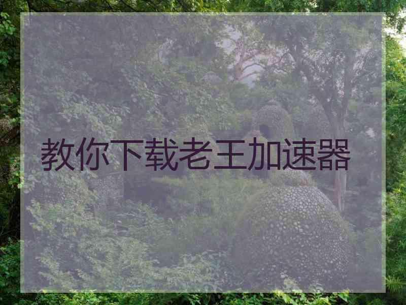 教你下载老王加速器