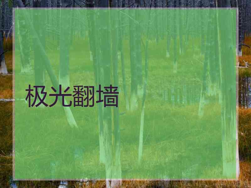 极光翻墙