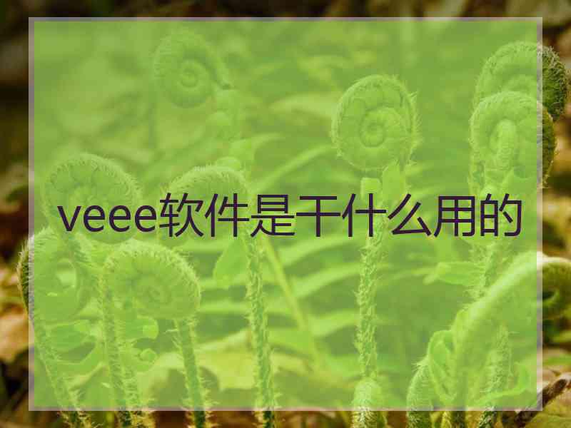 veee软件是干什么用的