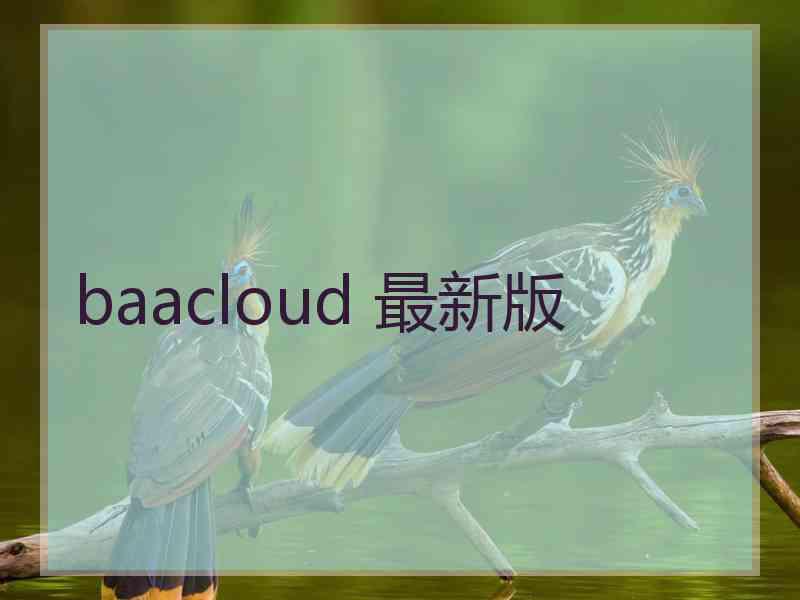 baacloud 最新版