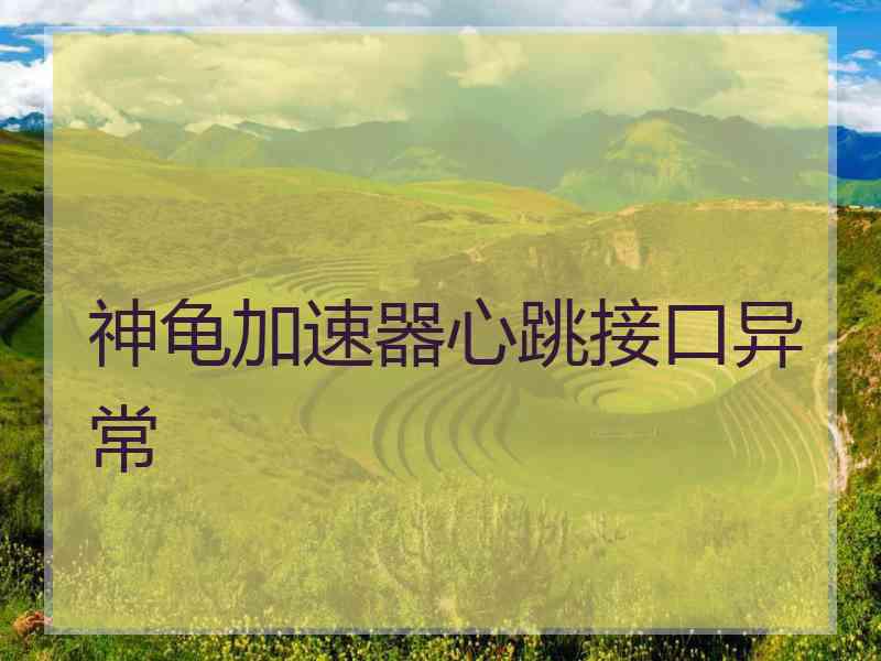 神龟加速器心跳接口异常