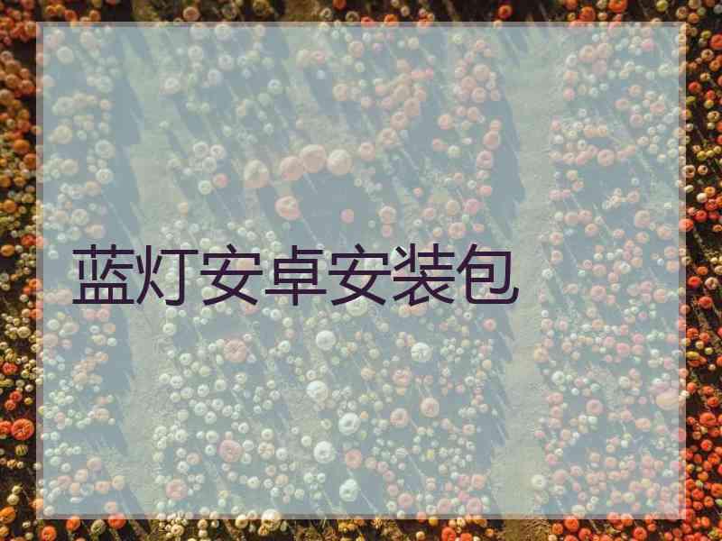 蓝灯安卓安装包