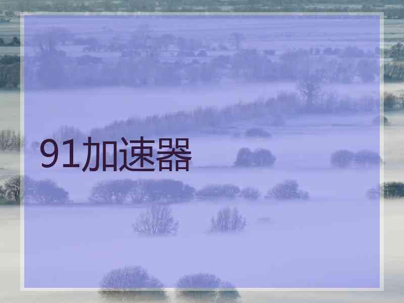 91加速器