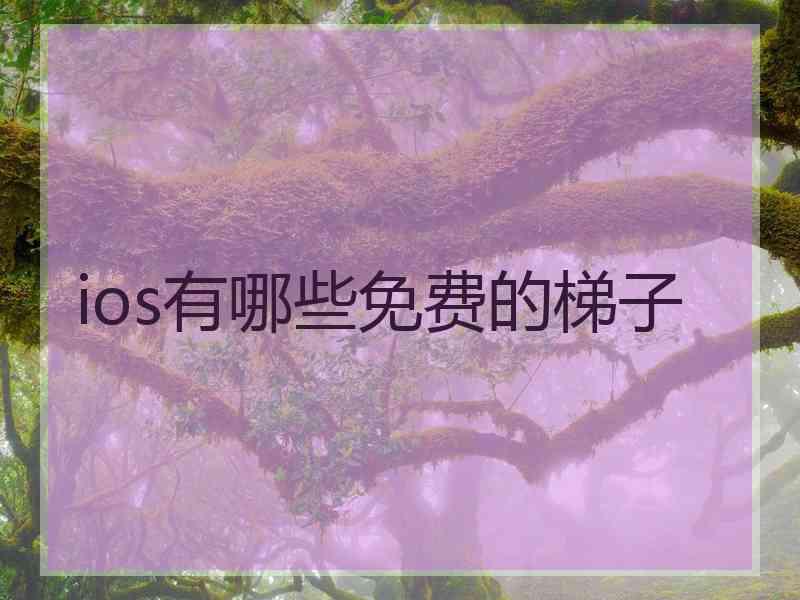 ios有哪些免费的梯子