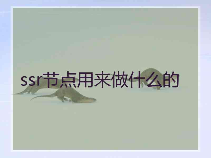 ssr节点用来做什么的