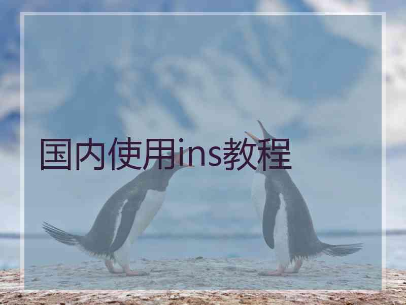 国内使用ins教程