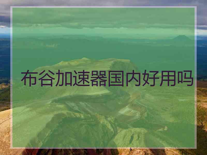 布谷加速器国内好用吗