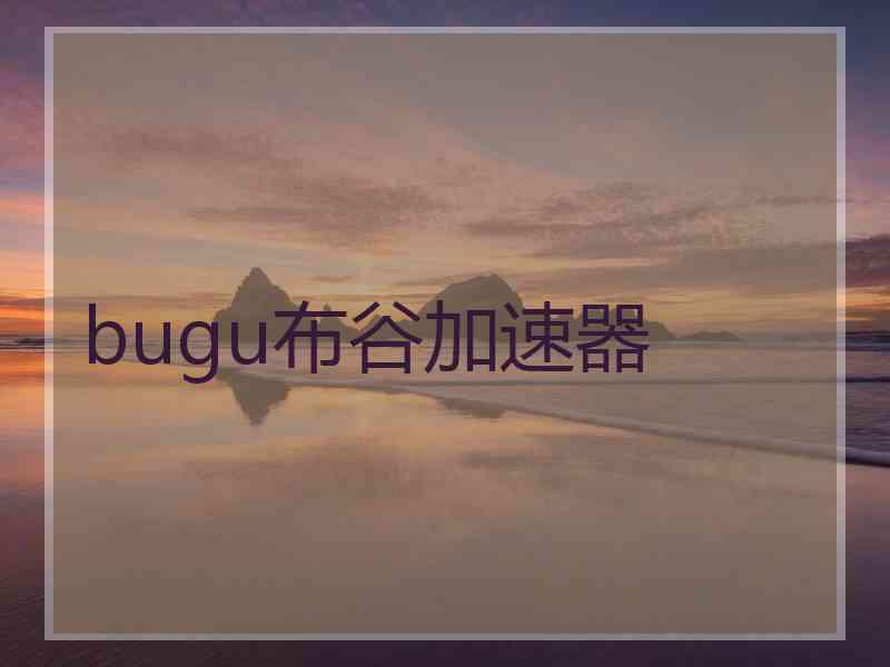 bugu布谷加速器