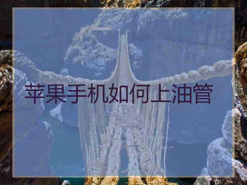苹果手机如何上油管