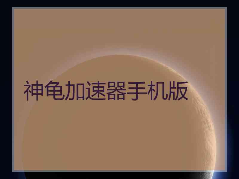 神龟加速器手机版