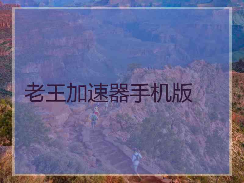 老王加速器手机版