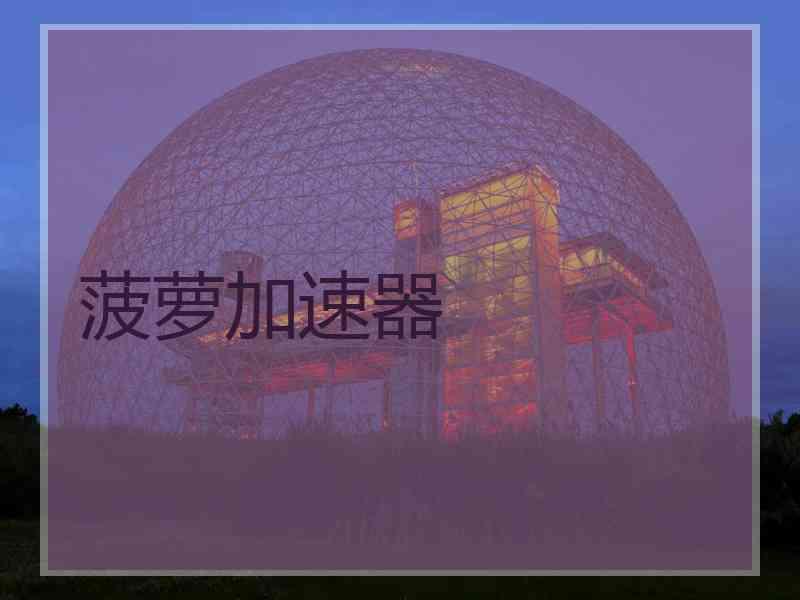 菠萝加速器