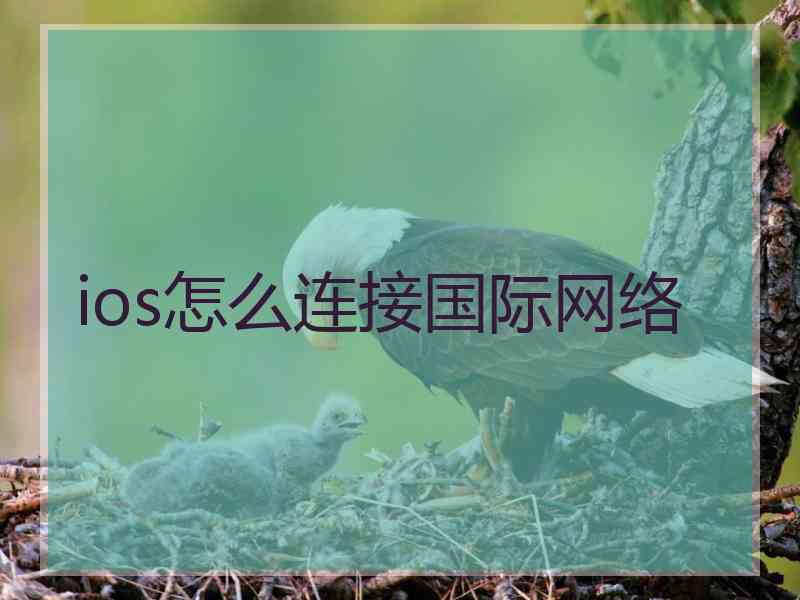 ios怎么连接国际网络