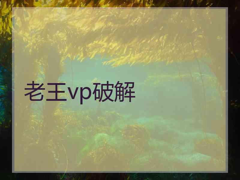 老王vp破解