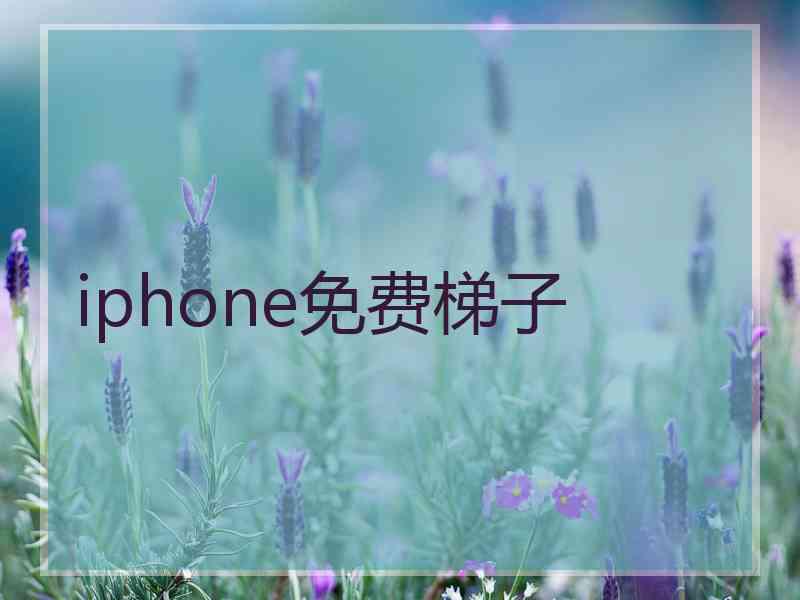 iphone免费梯子