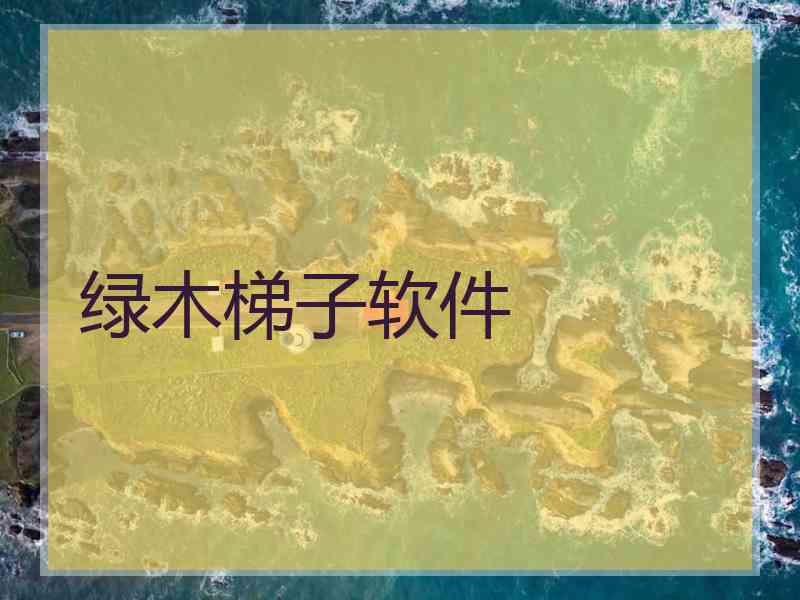 绿木梯子软件