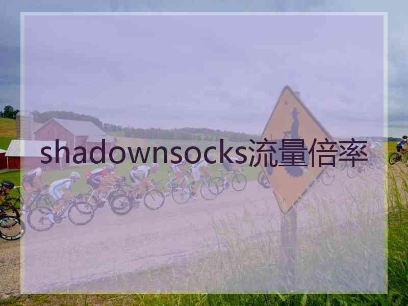 shadownsocks流量倍率