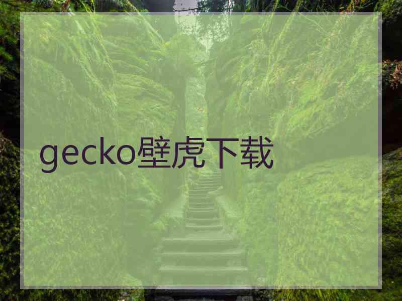 gecko壁虎下载