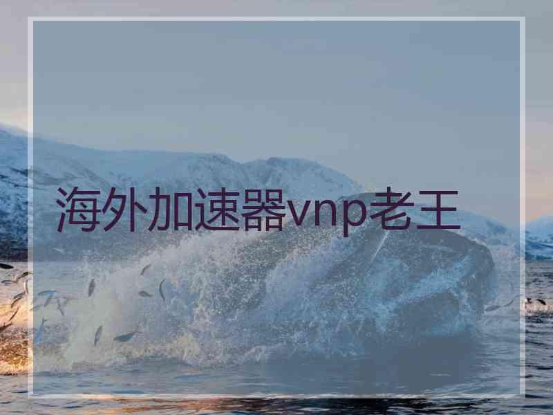 海外加速器vnp老王