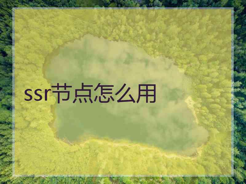 ssr节点怎么用
