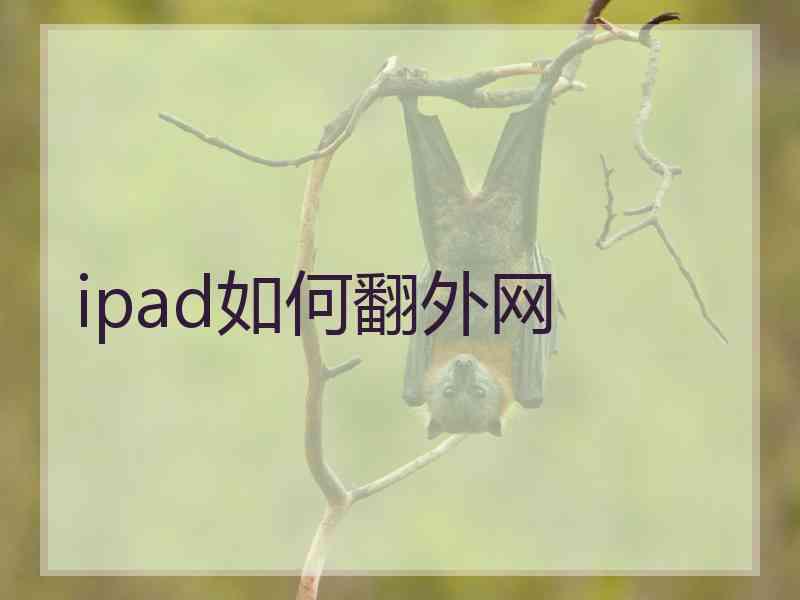 ipad如何翻外网
