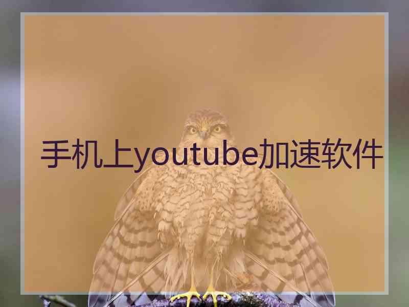 手机上youtube加速软件