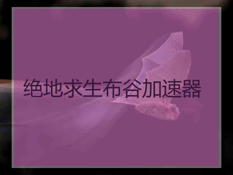 绝地求生布谷加速器