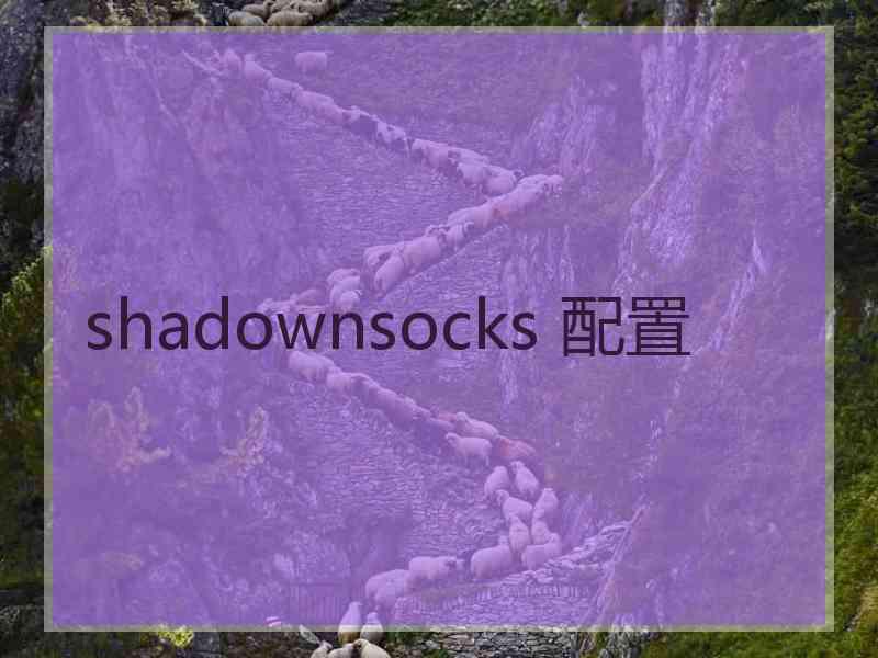 shadownsocks 配置