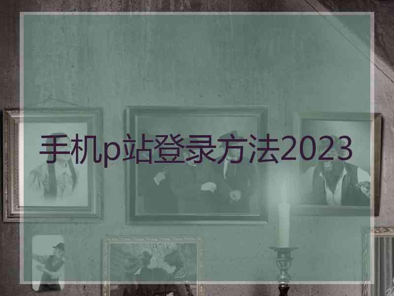 手机p站登录方法2023