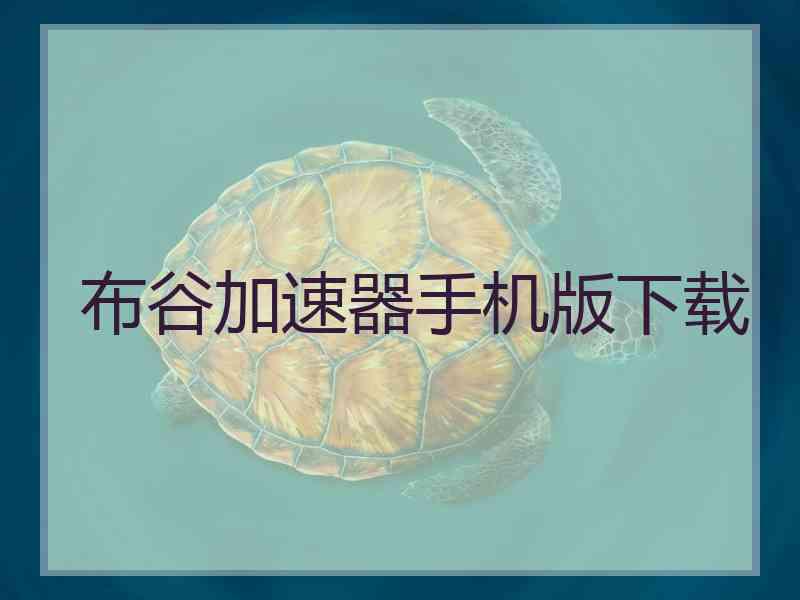 布谷加速器手机版下载