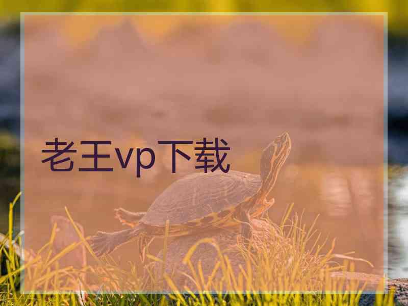 老王vp下载