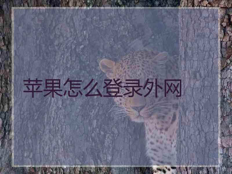 苹果怎么登录外网