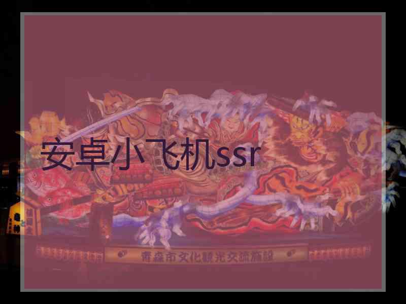 安卓小飞机ssr