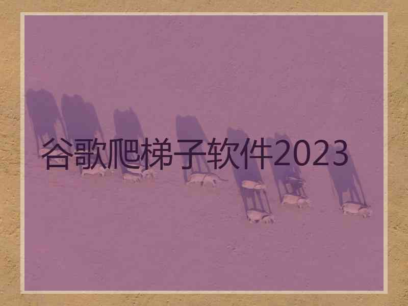 谷歌爬梯子软件2023