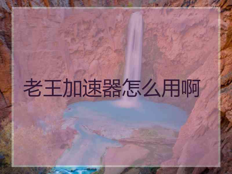 老王加速器怎么用啊