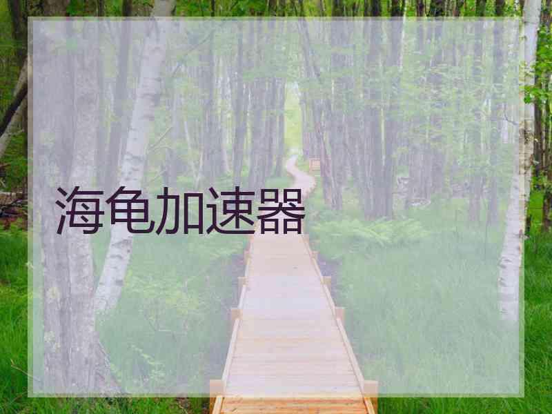 海龟加速器