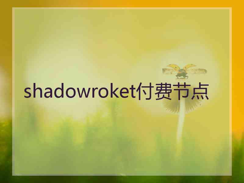 shadowroket付费节点