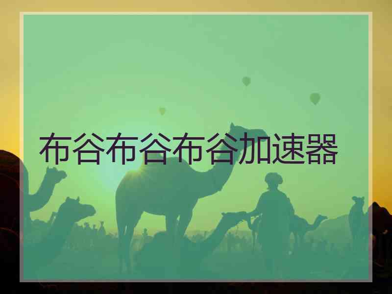 布谷布谷布谷加速器