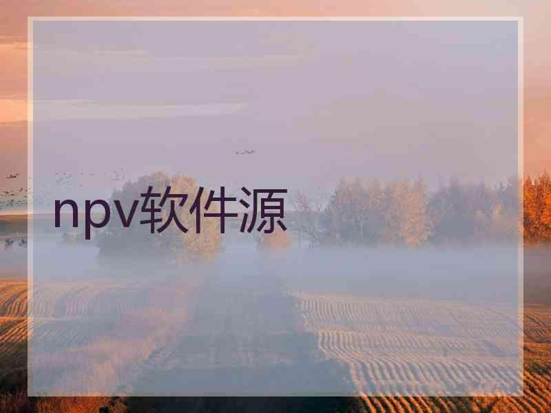 npv软件源