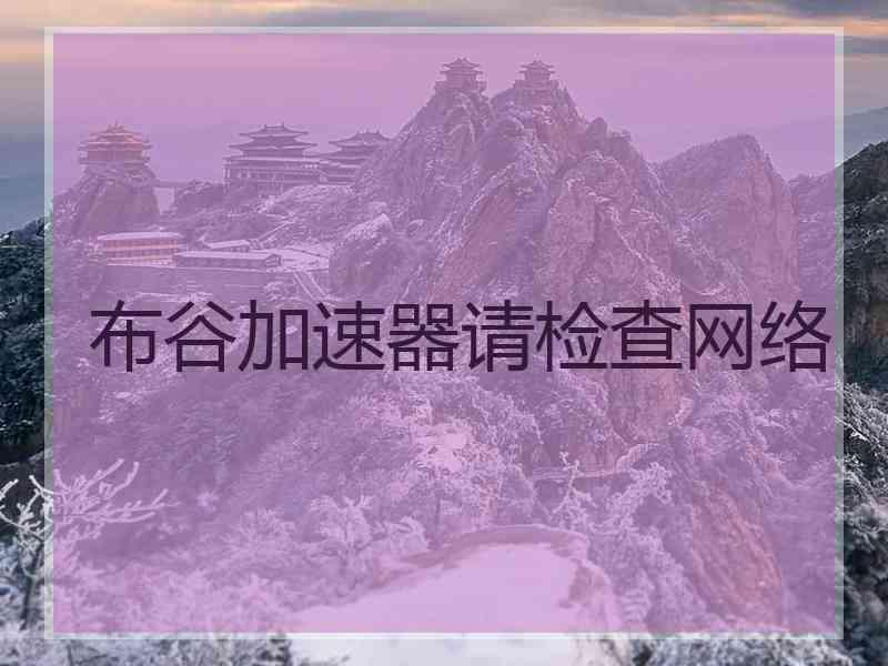 布谷加速器请检查网络