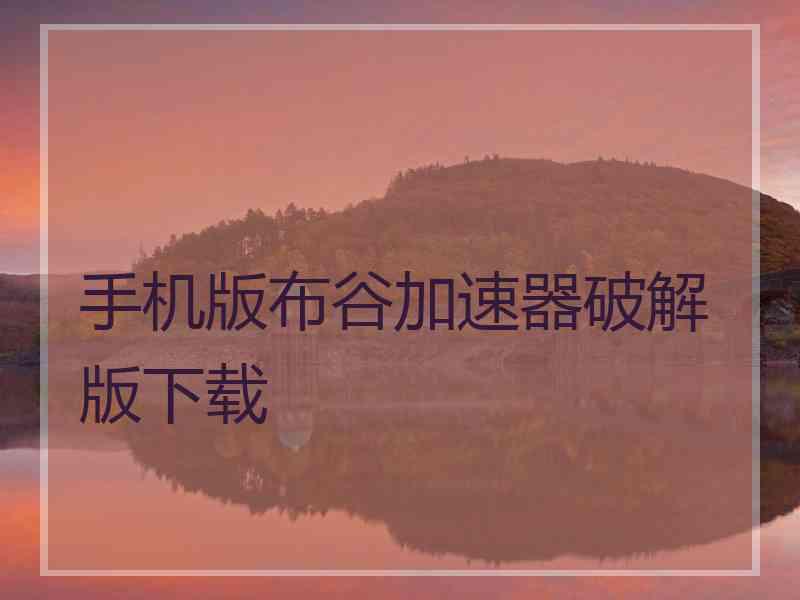 手机版布谷加速器破解版下载
