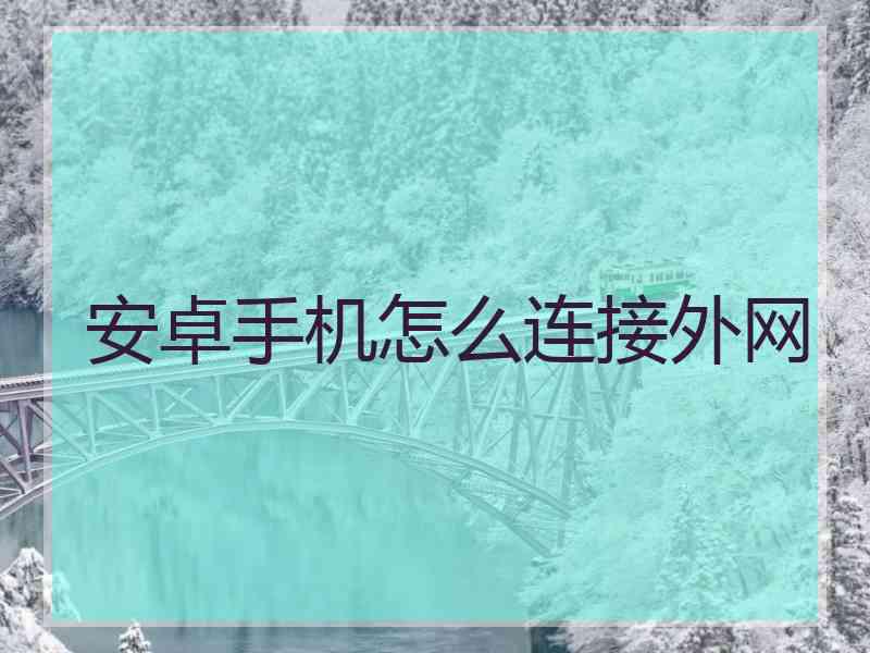 安卓手机怎么连接外网