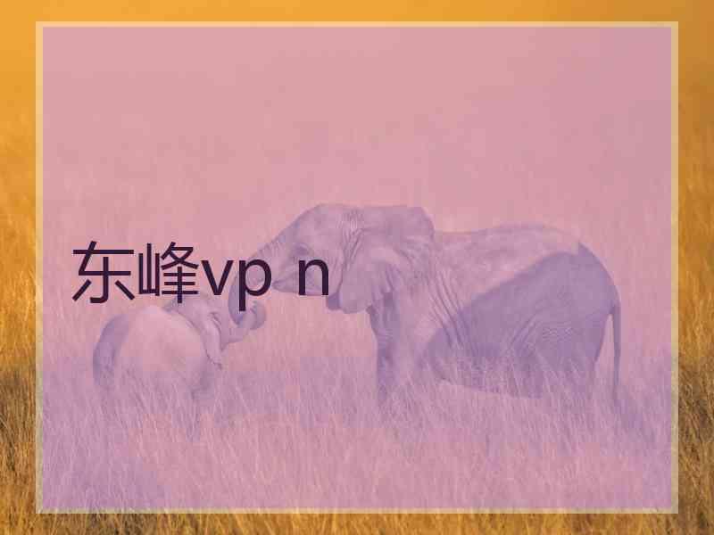 东峰vp n